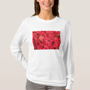 Camiseta ESLOVENIA, Ljubljana: Mercado Público de Ljubljana