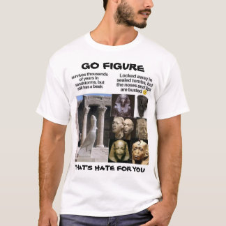 CAMISETA ESO ES ODIO PARA TI