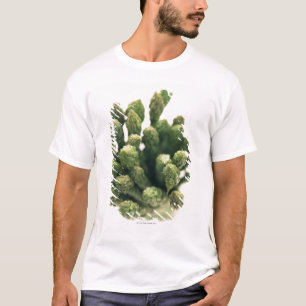 Camiseta Espárrago verde