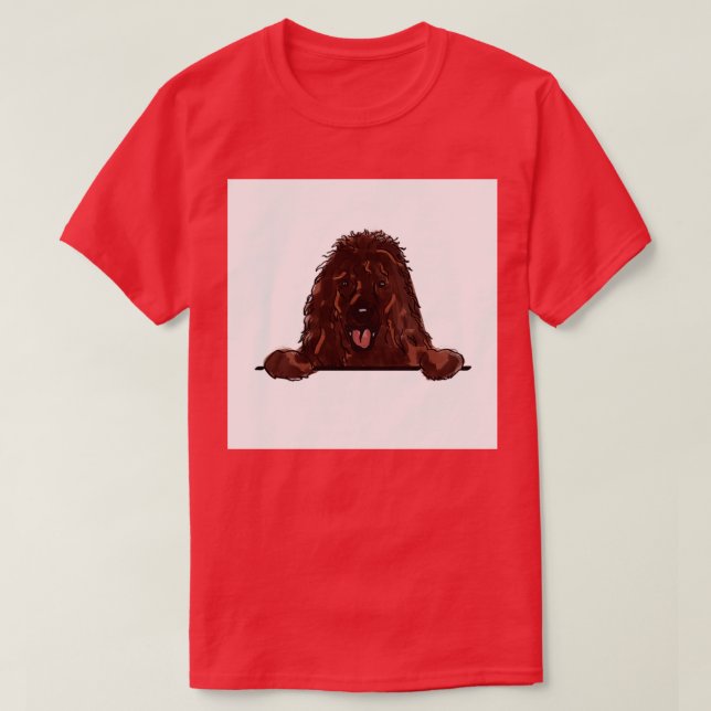 Camiseta Espátula de agua irlandesa (Diseño del anverso)