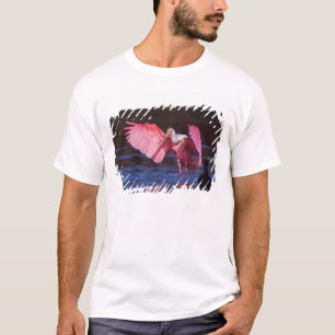 Camiseta Espátula rosada (Ajaia ajaja) con cormorán
