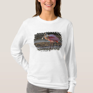 Camiseta Espátula rosada, Ajaia ajaja, Ding Darling