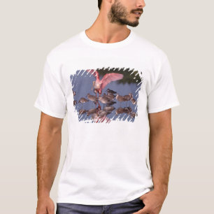 Camiseta Espátula rosada con zarapitos en aguas poco profun