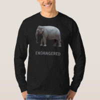 Especies animales en peligro de extinción Elefante