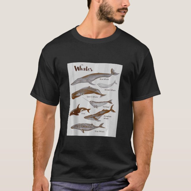 Camiseta Especies de ballenas Mamíferos marinos Mamíferos m (Anverso)
