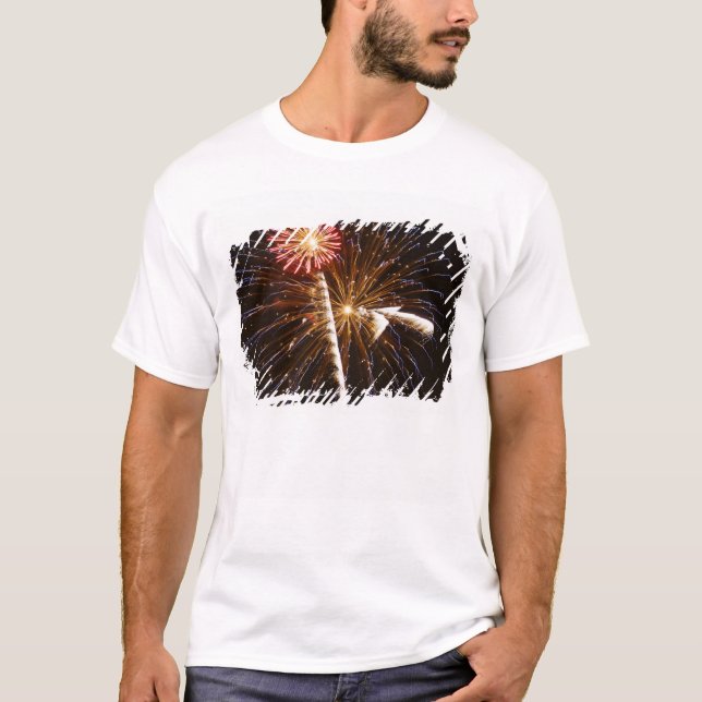 Camiseta Espectáculo de fuegos artificiales en el río Savan (Anverso)