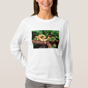 Camiseta Espectro de Macleay (insecto palo espinoso),