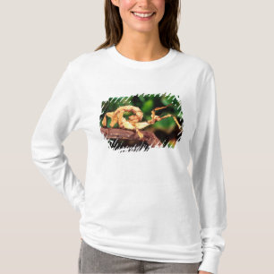 Camiseta Espectro de Macleay (insecto palo espinoso),