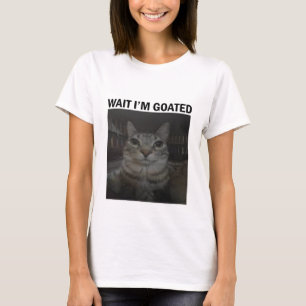Camiseta Espera, me estoy volviendo tonto meme divertido re