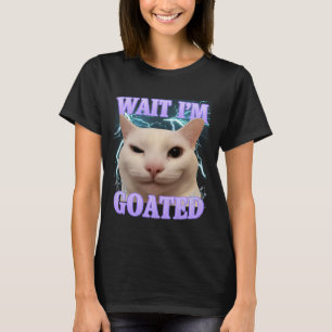 Camiseta Espera, soy un gato consagrado, gato tonto, meme d