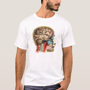 Camiseta Espina dorsal cervical del cráneo del cerebro