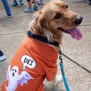 Camiseta Espinoso fantasma de Halloween - DEI - naranja