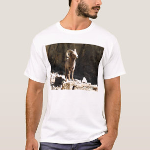 Camiseta Espolón de las ovejas de Bighorn cerca de rocas e
