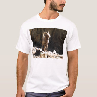Camiseta Espolón de las ovejas de Bighorn cerca de rocas en