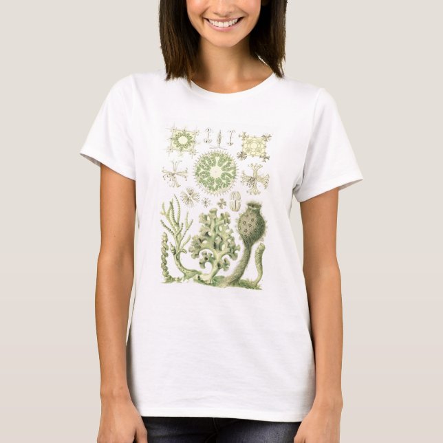 Camiseta Esponjas de cristal (Anverso)