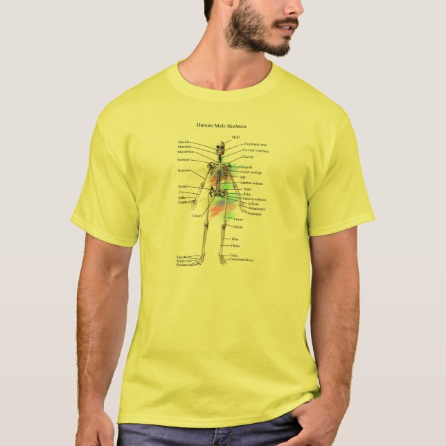 Camiseta esquelética masculina humana (Anverso)
