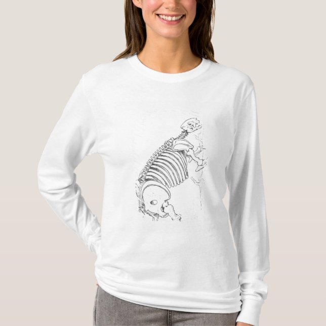 Camiseta Esqueleto de un Mylodon (Anverso)