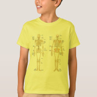 Esqueleto humano etiquetado carta de la anatomía