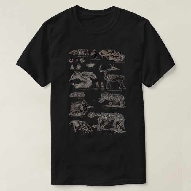 Camiseta Esqueletos de animales prehistóricos de época y fó (Diseño del anverso)