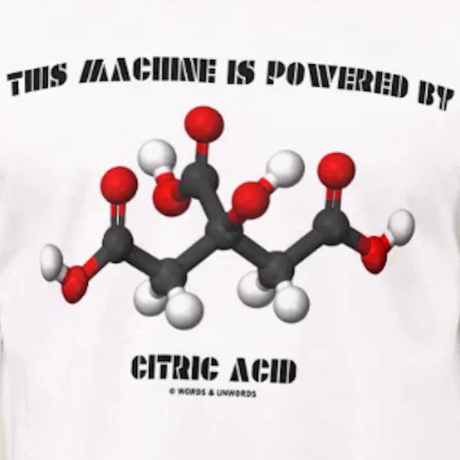 Camiseta Esta máquina es accionada por química del ácido (If you are powered by citric acid, you'll enjoy this chemical molecule tee)
