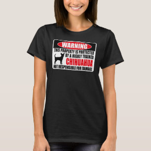 Camiseta Esta Propiedad Está Protegida Por Un Chi Altamente