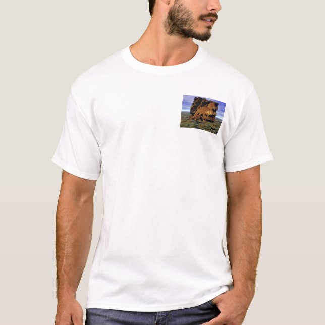 Camiseta Establecer en piedra (Anverso)