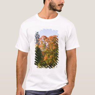 Camiseta Estacione junto al edificio del Parlamento en Otta