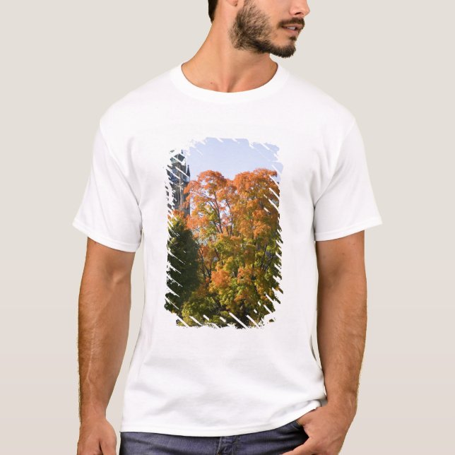 Camiseta Estacione junto al edificio del Parlamento en Otta (Anverso)