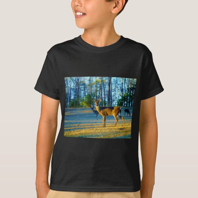 Camiseta Estadio/Deer Buck, cielo azul brillante (Anverso)