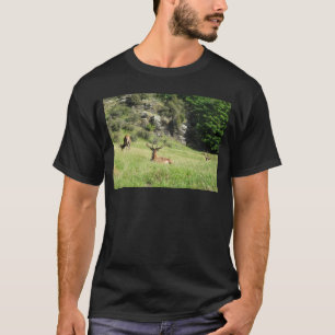 Camiseta Estadios de Nueva Zelanda