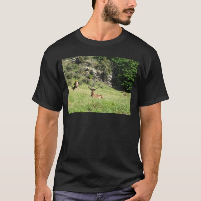 Camiseta Estadios de Nueva Zelanda (Anverso)