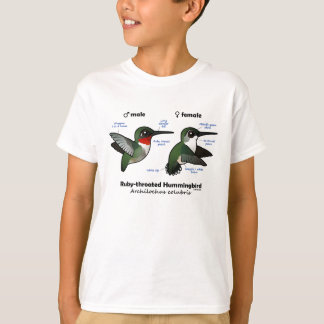 Camiseta Estadísticas de colibríes con trompeta de rubí
