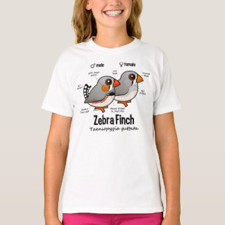 Camiseta Estadísticas de Zebra Finch