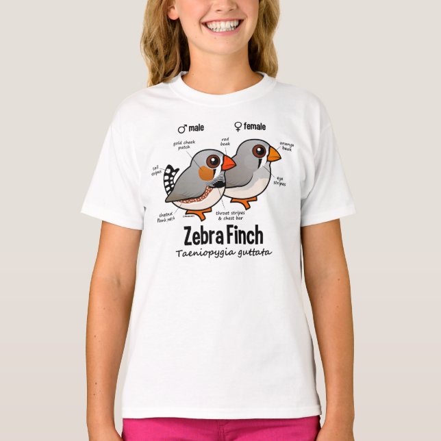 Camiseta Estadísticas de Zebra Finch (Anverso)