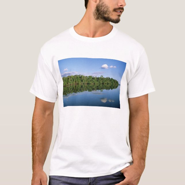 Camiseta Estado de Mato Grosso, Amazonas, Brasil. Bosques (Anverso)