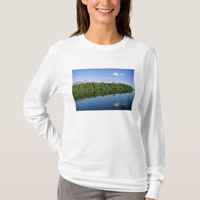 Camiseta Estado de Mato Grosso, Amazonas, Brasil. Bosques (Anverso)