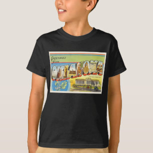 Camiseta Estado del recuerdo viejo ACEPTABLE del viaje del