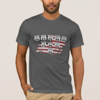 Estados de la ruta 66