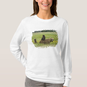 Camiseta Estados Unidos, Alaska, Parque Nacional Lake Clark