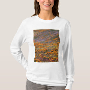 Camiseta Estados Unidos, California, Montañas Tehachapi, 2