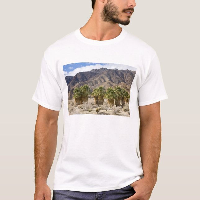 Camiseta Estados Unidos, California, Parque Estatal del Des (Anverso)