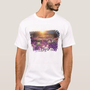 Camiseta Estados Unidos, California, Parque Estatal del Des
