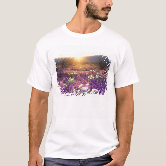 Camiseta Estados Unidos, California, Parque Estatal del Des (Anverso)