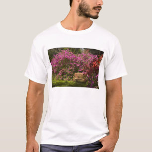 Camiseta Estados Unidos; Carolina del Sur; Charleston;