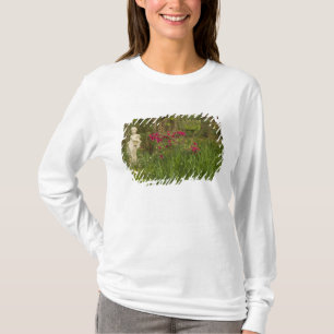 Camiseta Estados Unidos; Carolina del Sur; Charleston; 4