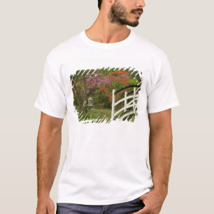Camiseta Estados Unidos; Carolina del Sur; Charleston; 5