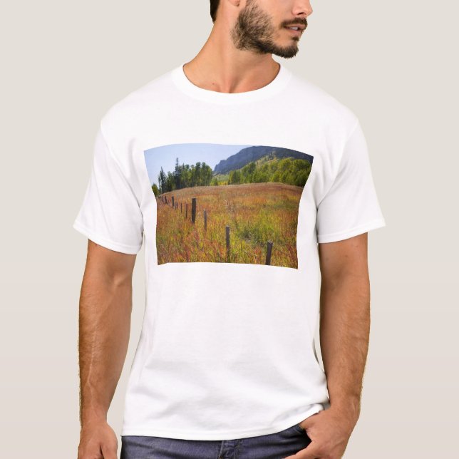 Camiseta Estados Unidos, Colorado, Bosque Nacional de San J (Anverso)