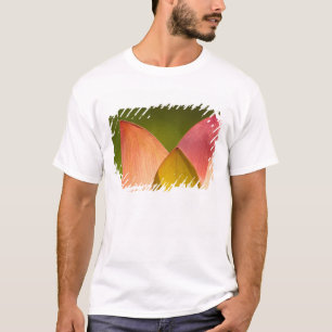 Camiseta Estados Unidos, DC, Washington, Kenilworth 3