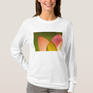 Camiseta Estados Unidos, DC, Washington, Kenilworth 3
