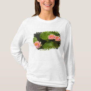 Camiseta Estados Unidos, DC, Washington, Kenilworth 4